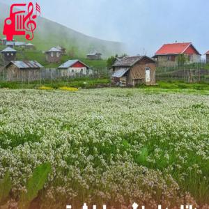 دانلود آهنگ آهنگ صبایا شوتی عربی از با صدای مرد + متن ترانه