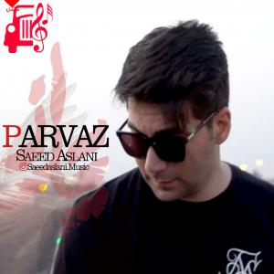 دانلود آهنگ آهنگ پرواز از سعید اصلانی + متن ترانه