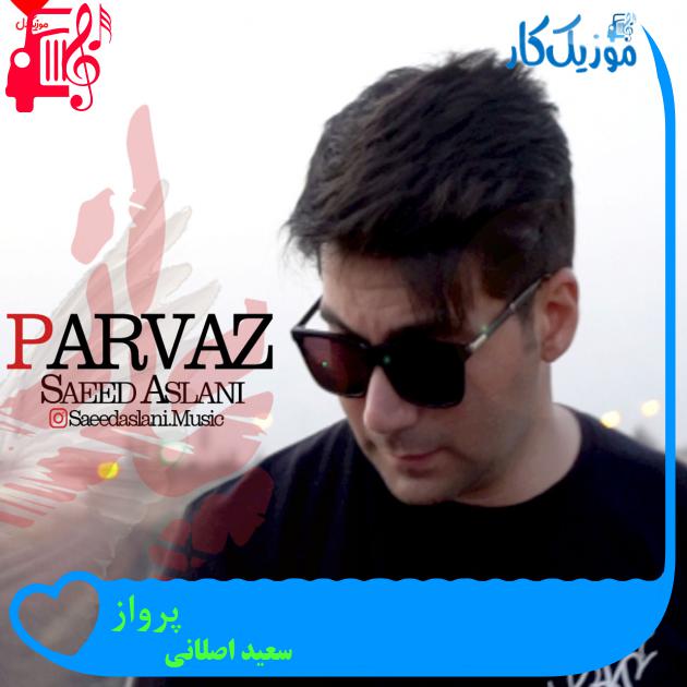 آهنگ پرواز از سعید اصلانی + متن ترانه آهنگ پرواز از سعید اصلانی + متن ترانه