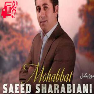 دانلود آهنگ آهنگ محبت از سعید شربیانی + متن ترانه