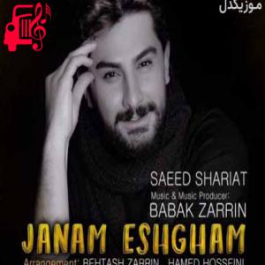 دانلود آهنگ آهنگ تو جذابی عشقی نابی از سعید شریعت