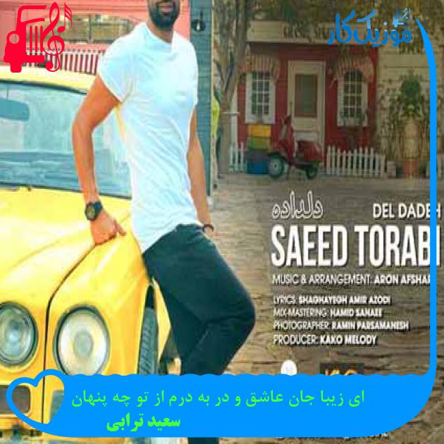 آهنگ ای زیبا جان عاشق و در به درم از تو چه پنهان از سعید ترابی + متن ترانه