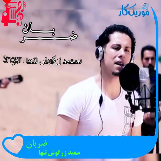 آهنگ ضربان از سعید زرگوش تنها + متن ترانه آهنگ ضربان از سعید زرگوش تنها + متن ترانه