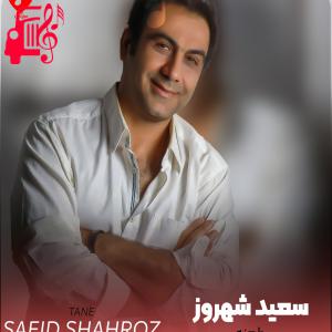 دانلود آهنگ آهنگ طعنه از سعید شهروز + متن ترانه