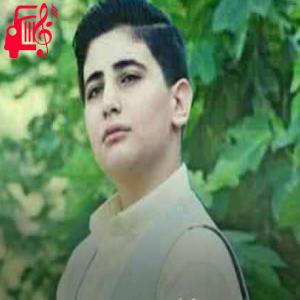 دانلود آهنگ آهنگ رخ مستش بخدا دلارو داغون میکنه از صالح جعفرزاده + متن ترانه