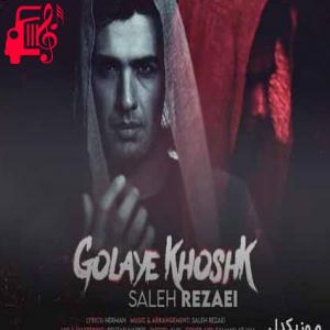 دانلود آهنگ آهنگ کاشکی خراب شه این دیوار بینمون زنجیرا وا بشن از صالح رضایی + متن ترانه