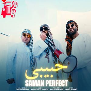 دانلود آهنگ آهنگ حبیبی از سامان پرفکت
