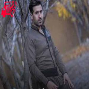 دانلود آهنگ آهنگ چه کردی از سیوان گاگلی + متن ترانه