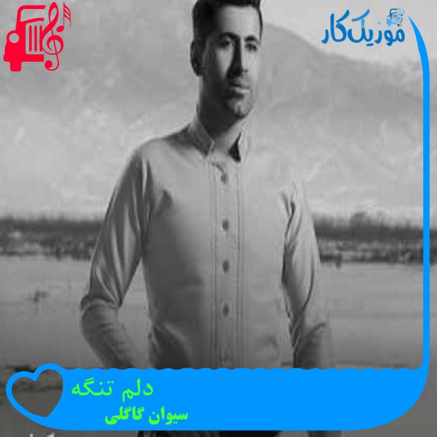 آهنگ دلم تنگه از سیوان گاگلی + متن ترانه