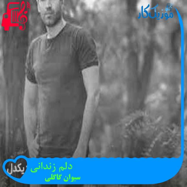 آهنگ دلم زندانی از سیوان گاگلی + متن ترانه آهنگ دلم زندانی از سیوان گاگلی + متن ترانه