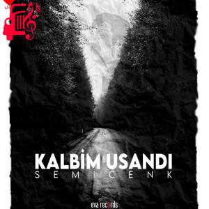 دانلود آهنگ آهنگ Kalbim Usandı از Semicenk