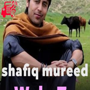 دانلود آهنگ آهنگ Wale Ze از شفیق مرید