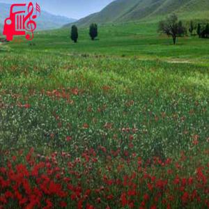 دانلود آهنگ آهنگ سیزده بدر از شهرام آریا + متن ترانه