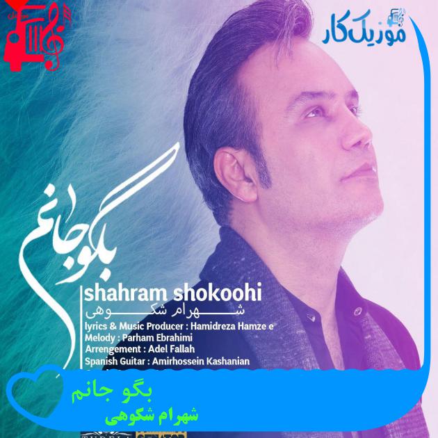 آهنگ بگو جانم از شهرام شکوهی + متن ترانه