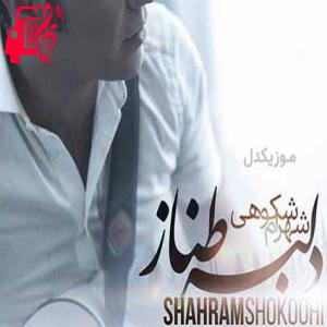 دانلود آهنگ آهنگ ماهی مهتابی خوبی جذابی از شهرام شکوهی + متن ترانه