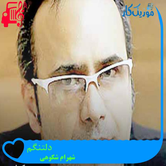 آهنگ دلتنگم از شهرام شکوهی + متن ترانه