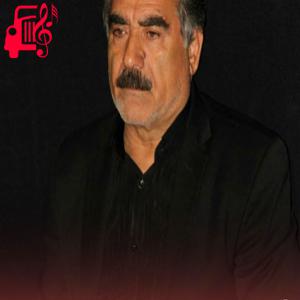 دانلود آهنگ آهنگ ترکی رقیه ای غملرین آشناسی از شهروز اردبیلی