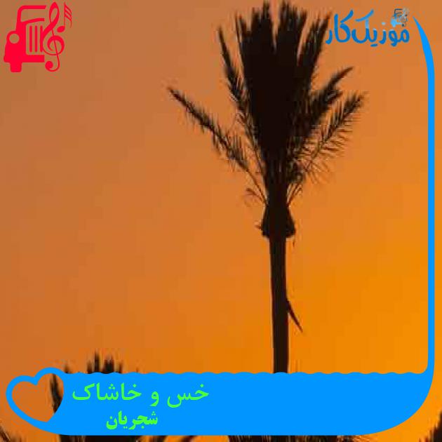 آهنگ خس و خاشاک از شجریان + متن ترانه