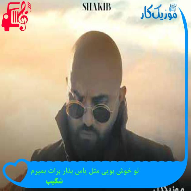 آهنگ تو خوش بویی مثل یاس بذار برات بمیرم از شکیب + متن ترانه