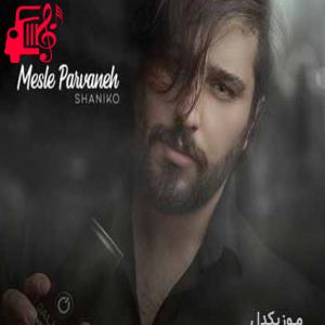 دانلود آهنگ آهنگ سرما زد تو رفتی شکست بالم از شانیکو + متن ترانه