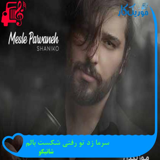 آهنگ سرما زد تو رفتی شکست بالم از شانیکو + متن ترانه آهنگ سرما زد تو رفتی شکست بالم از شانیکو + متن ترانه