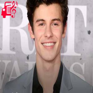 دانلود آهنگ آهنگ summer of love از Shawn Mendes + متن ترانه