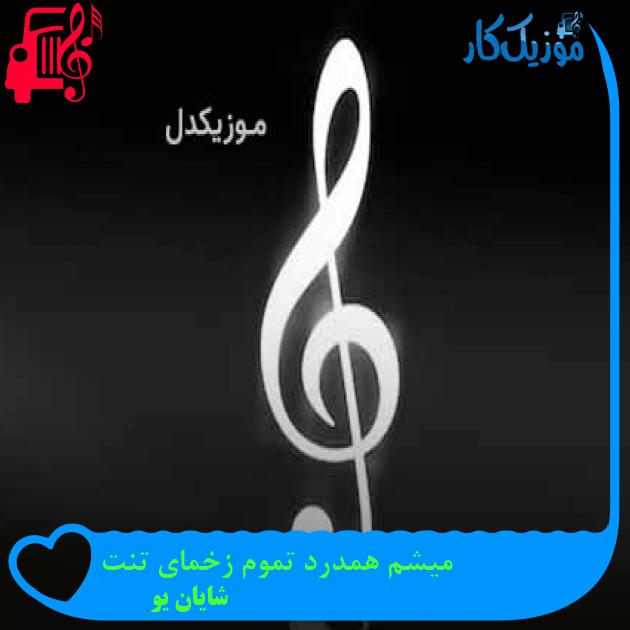 آهنگ میشم همدرد تموم زخمای تنت از شایان یو + متن ترانه آهنگ میشم همدرد تموم زخمای تنت از شایان یو + متن ترانه