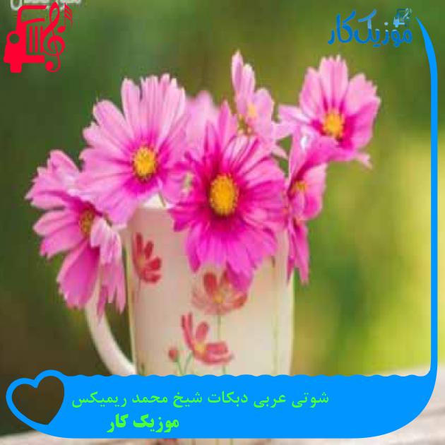 آهنگ شوتی عربی دبکات شیخ محمد ریمیکس از موزیک کار + متن ترانه آهنگ شوتی عربی دبکات شیخ محمد ریمیکس از موزیک کار + متن ترانه