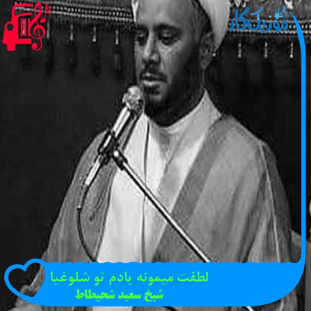آهنگ لطفت میمونه یادم تو شلوغیا از شیخ سعید شحیطاط + متن ترانه