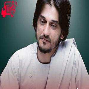 کاور آهنگ دم به دم از شرافت پروانی اثر شرافت پروانی
