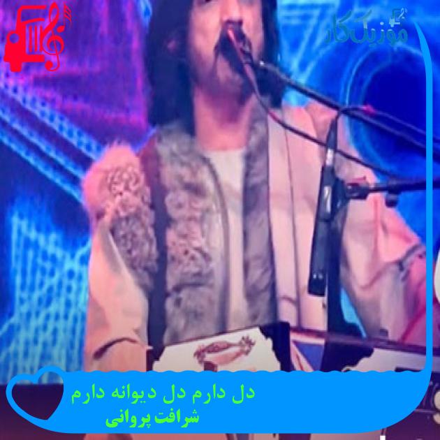 آهنگ دل دارم دل دیوانه دارم از شرافت پروانی آهنگ دل دارم دل دیوانه دارم از شرافت پروانی