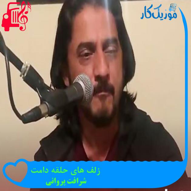 آهنگ زلف های حلقه دامت از شرافت پروانی