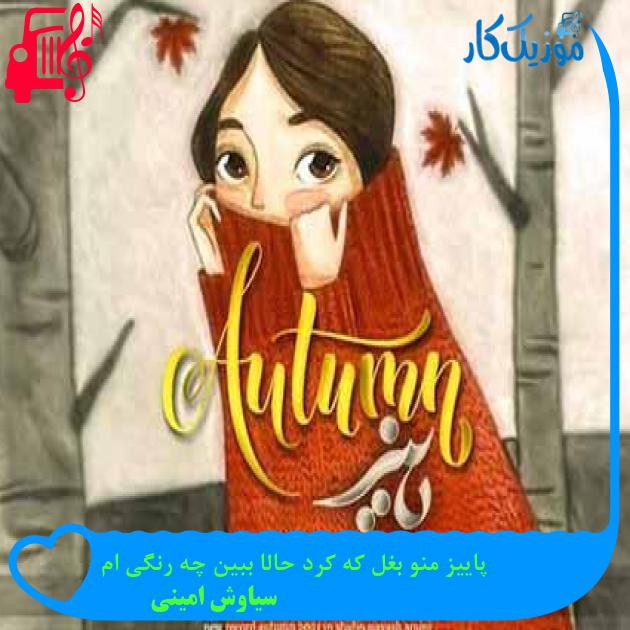 آهنگ پاییز منو بغل که کرد حالا ببین چه رنگی ام از سیاوش امینی + متن ترانه