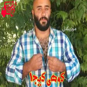 دانلود آهنگ آهنگ کوهی کیجا از سهیل کوهی