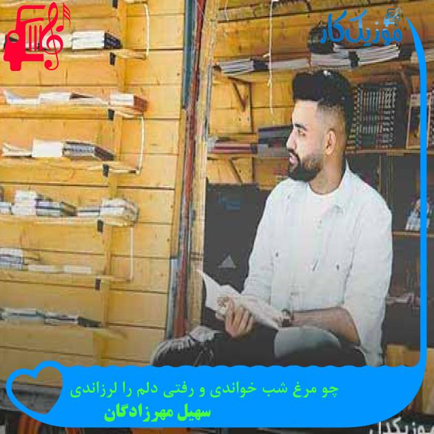 آهنگ چو مرغ شب خواندی و رفتی دلم را لرزاندی از سهیل مهرزادگان + متن ترانه آهنگ چو مرغ شب خواندی و رفتی دلم را لرزاندی از سهیل مهرزادگان + متن ترانه