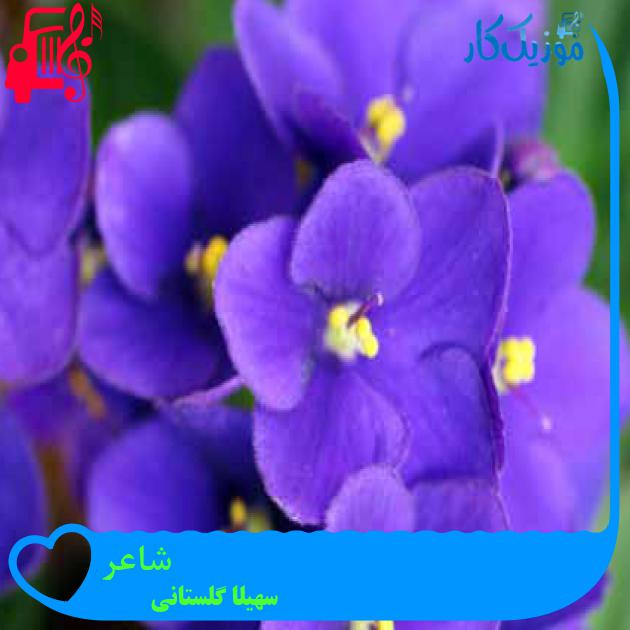 آهنگ شاعر از سهیلا گلستانی + متن ترانه