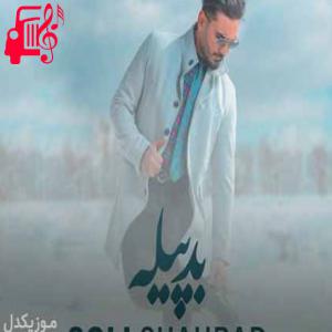 دانلود آهنگ آهنگ روی چشمام میزارمت هر چی تو بخوای از سلی شهراد + متن ترانه