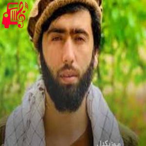 کاور آهنگ سرزمین من از صوفی شعیب + متن ترانه اثر صوفی شعیب