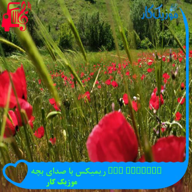 آهنگ anilari yak ریمیکس با صدای بچه از موزیک کار آهنگ anilari yak ریمیکس با صدای بچه از موزیک کار