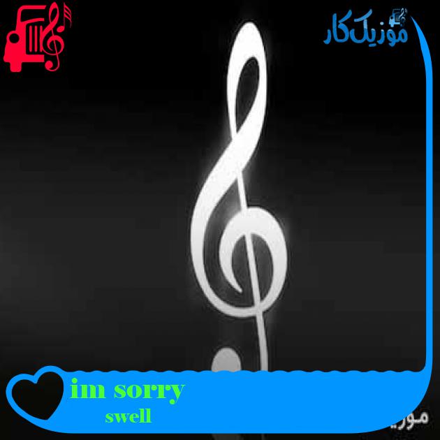 آهنگ im sorry از swell + متن ترانه آهنگ im sorry از swell + متن ترانه