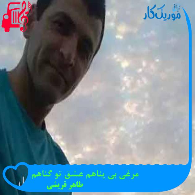آهنگ مرغی بی پناهم عشق تو گناهم از طاهر قریشی + متن ترانه