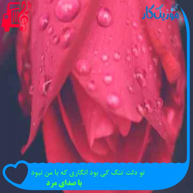 آهنگ تو دلت تنگ کی بود انگاری که با من نبود از با صدای مرد + متن ترانه آهنگ تو دلت تنگ کی بود انگاری که با من نبود از با صدای مرد + متن ترانه