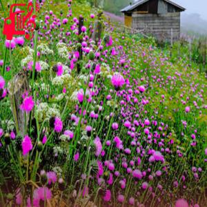 دانلود آهنگ آهنگ تو قلب من نشستی قلب منو شکستی با صدای بچه از موزیک کار + متن ترانه