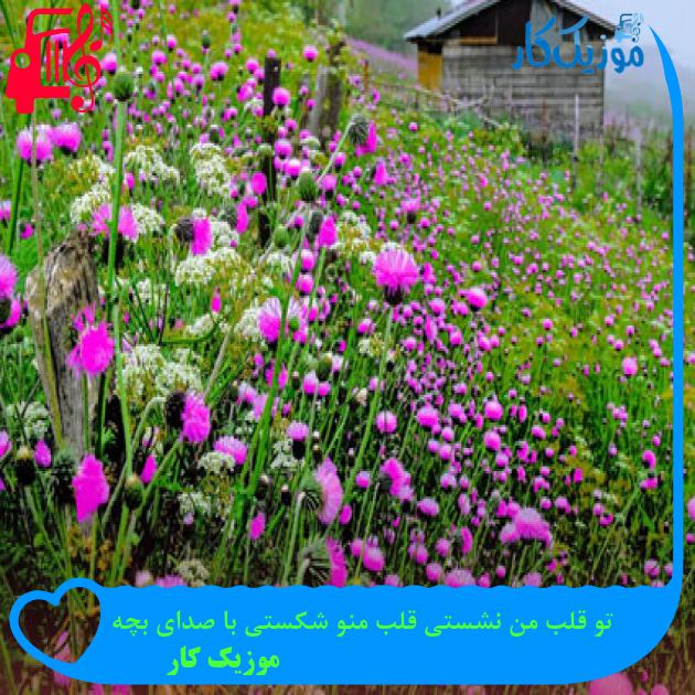 آهنگ تو قلب من نشستی قلب منو شکستی با صدای بچه از موزیک کار + متن ترانه آهنگ تو قلب من نشستی قلب منو شکستی با صدای بچه از موزیک کار + متن ترانه