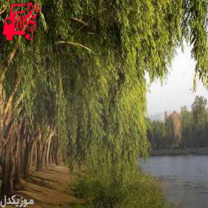 دانلود آهنگ آهنگ ده روزی که بی تو بیمه خدا ده یاد مه رته از موزیک کار + متن ترانه