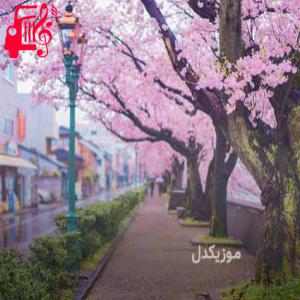 دانلود آهنگ آهنگ حروف الفبا فارسی صوتی از موزیک کار + متن ترانه