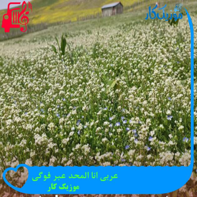 آهنگ عربی انا المحد عبر فوگی از موزیک کار