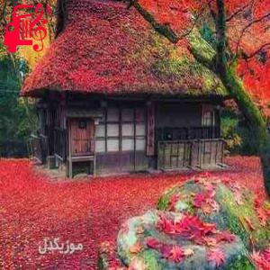 کاور آهنگ آی ننه آی ننه زنم منو میزنه از موزیک کار + متن ترانه اثر موزیک کار