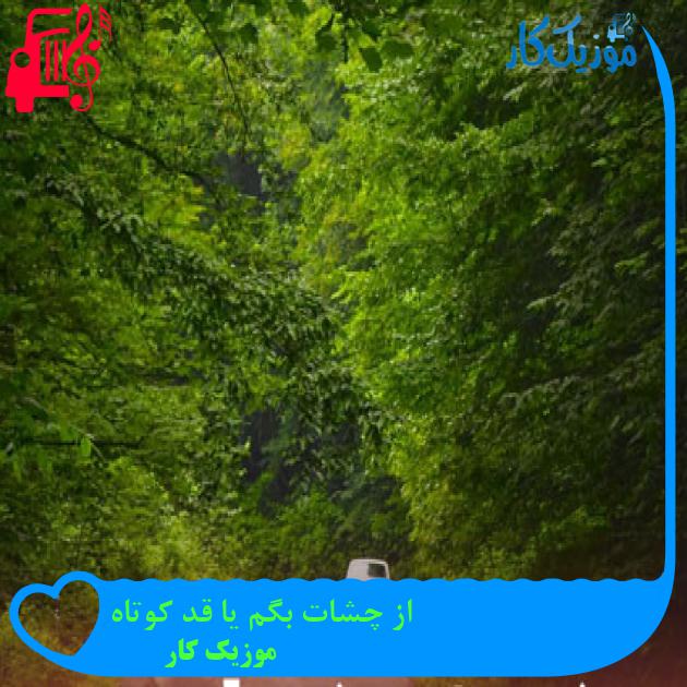آهنگ از چشات بگم یا قد کوتاه از موزیک کار