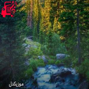 دانلود آهنگ آهنگ عزیزم آرام باش تو اصلا عددی نیستی از موزیک کار + متن ترانه